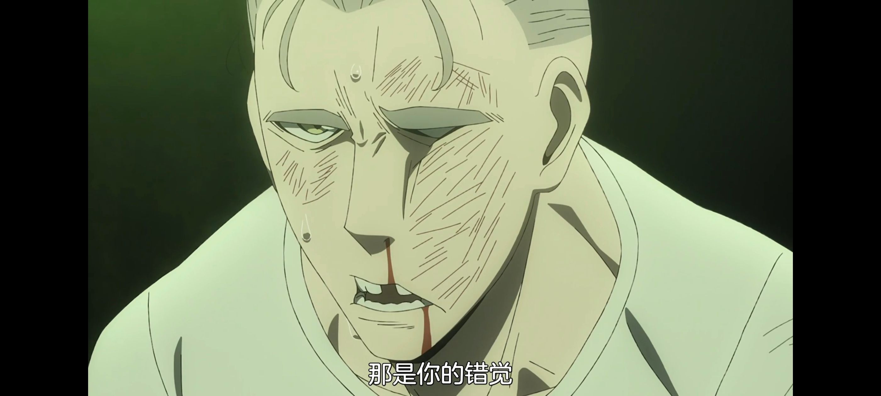 间谍过家家,SPYFAMILY,动画,动漫,番剧,ACG