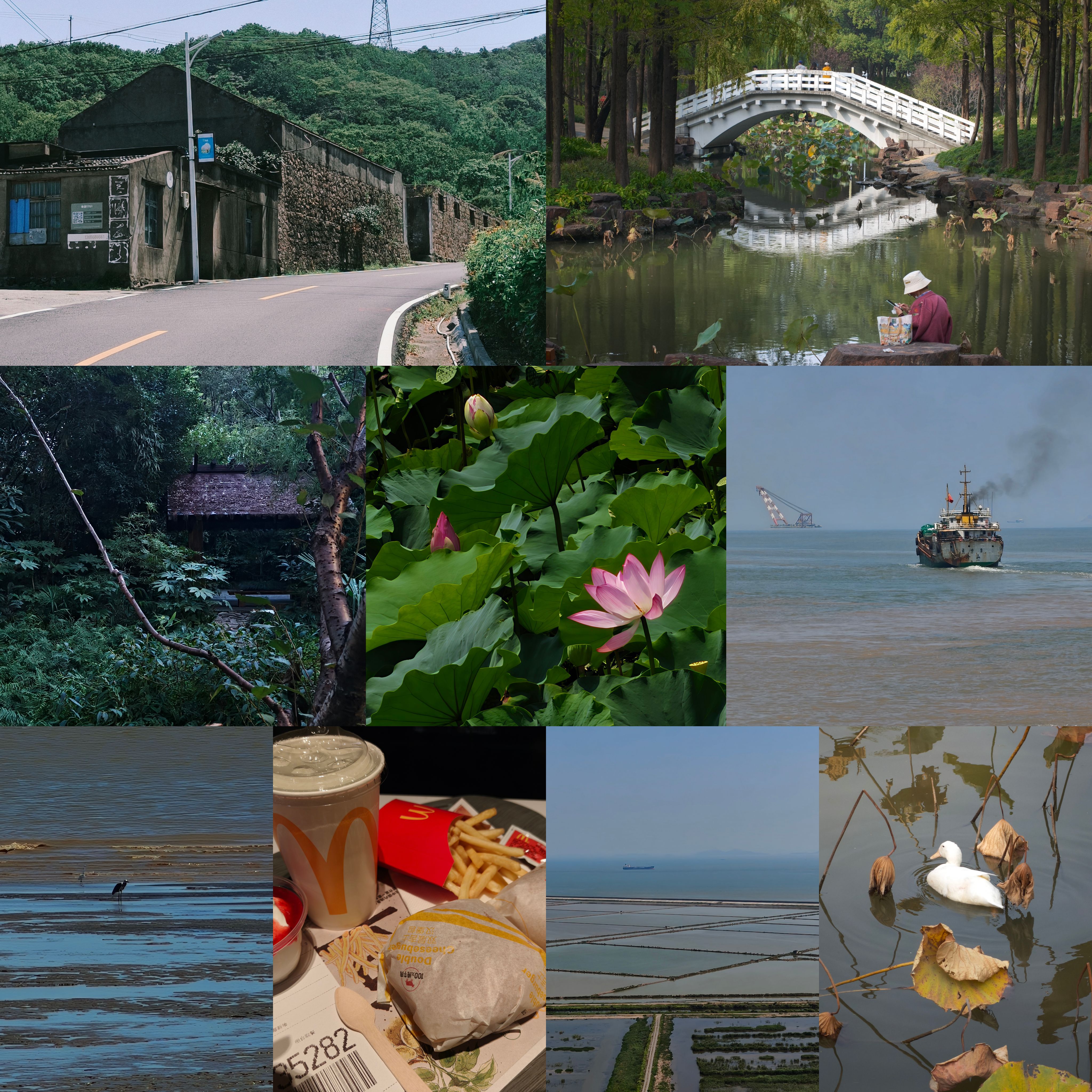 原创,音乐,孤独摇滚,日常,瓦,galgame,奥特曼,旅游,拼图