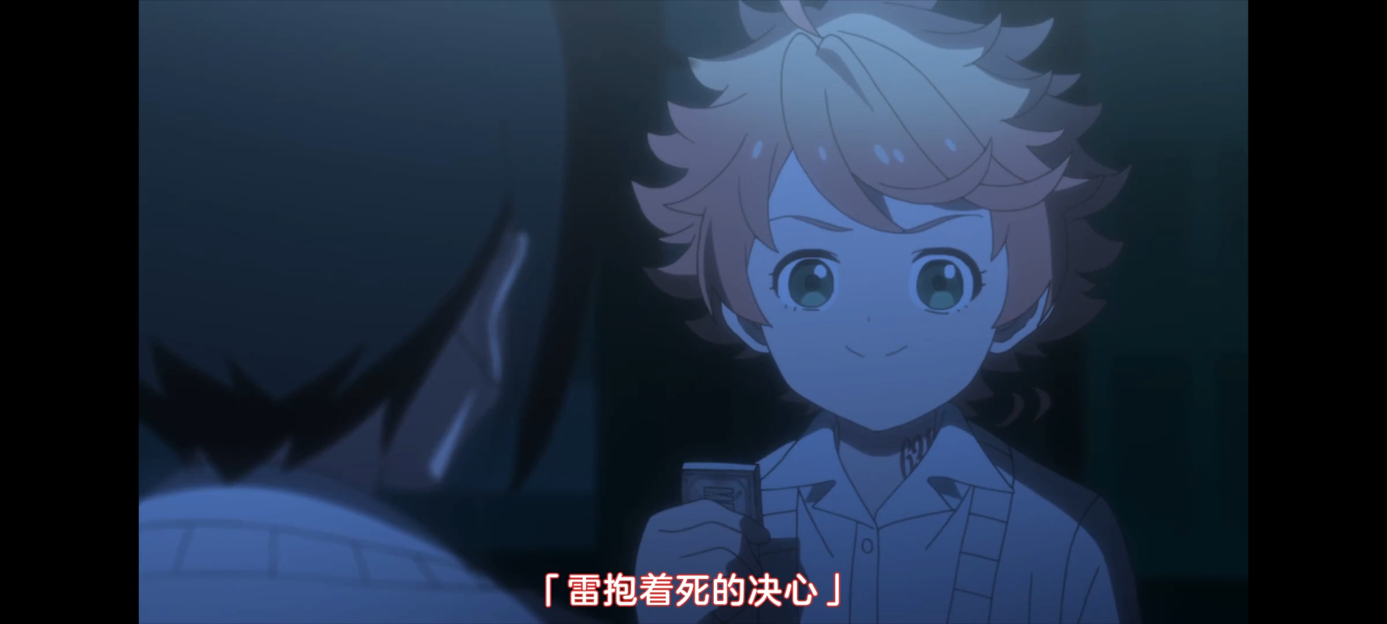 约定的梦幻岛,动画,动漫,番剧,二次元,ACG