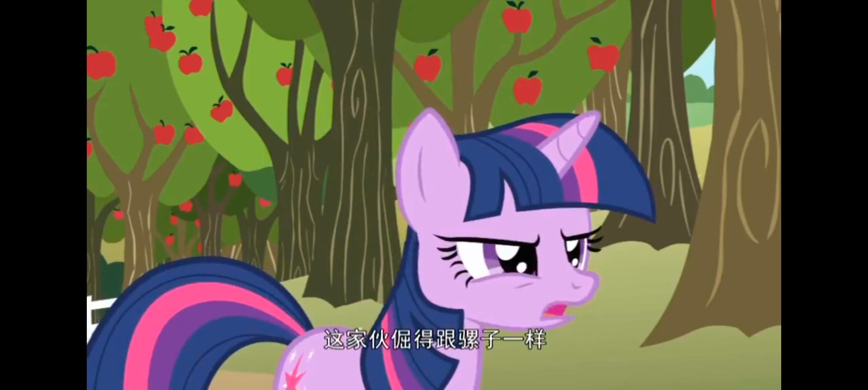 /static/f780f65491d9c65aaa8a3355948aeacf7d0fe700208019f60ed86459c663d286.jpg