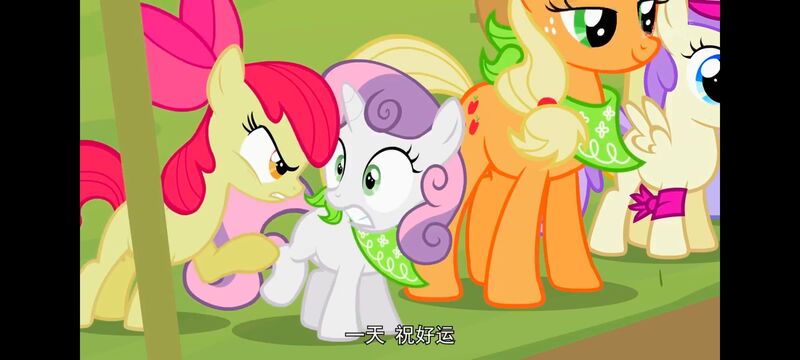 小马宝莉,小马宝莉友谊魔法,彩虹小马,我的小马驹,动画,动漫,番剧,ACG