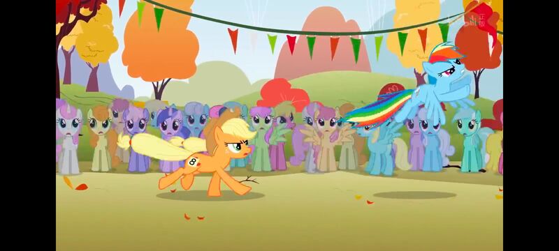 小马宝莉,小马宝莉友谊魔法,彩虹小马,我的小马驹,动画,动漫,番剧,ACG