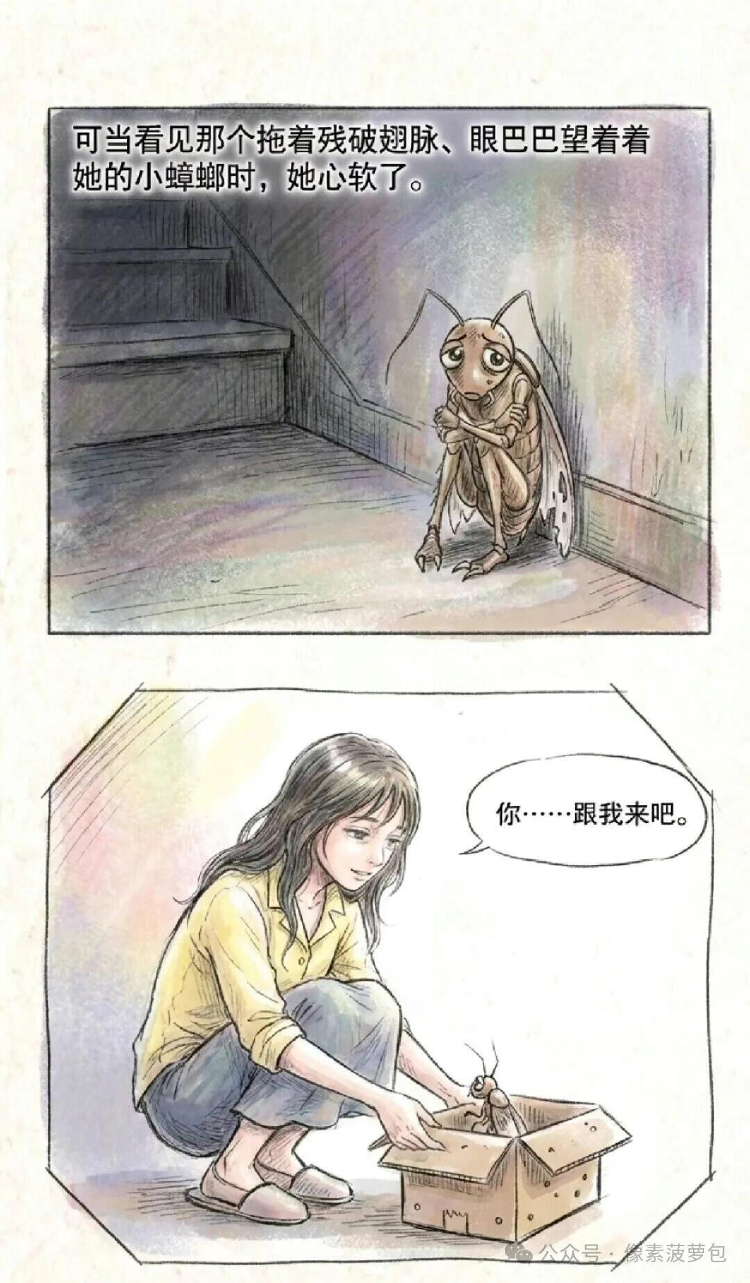猎奇,故事,恋爱