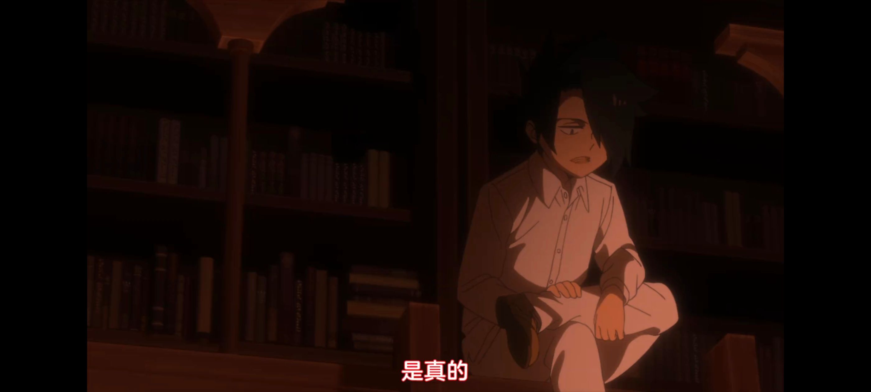 约定的梦幻岛,动画,动漫,番剧,ACG