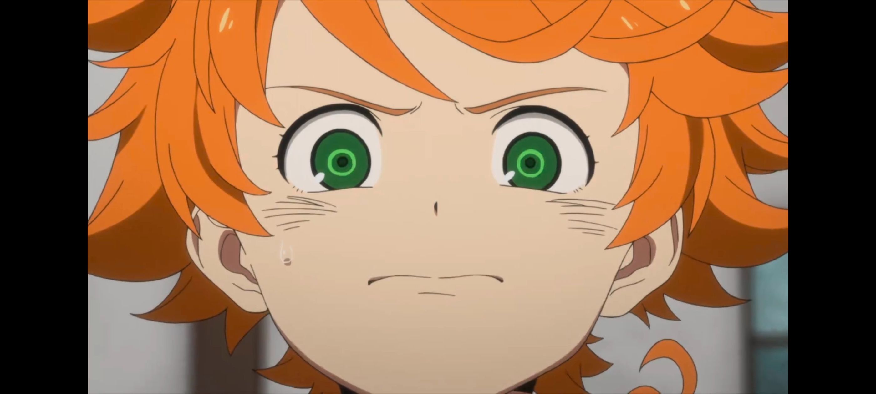 约定的梦幻岛,动画,动漫,番剧,ACG