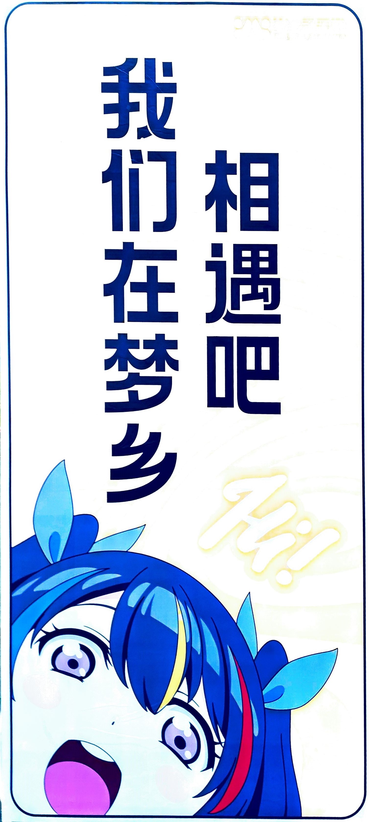 扫描,漫展