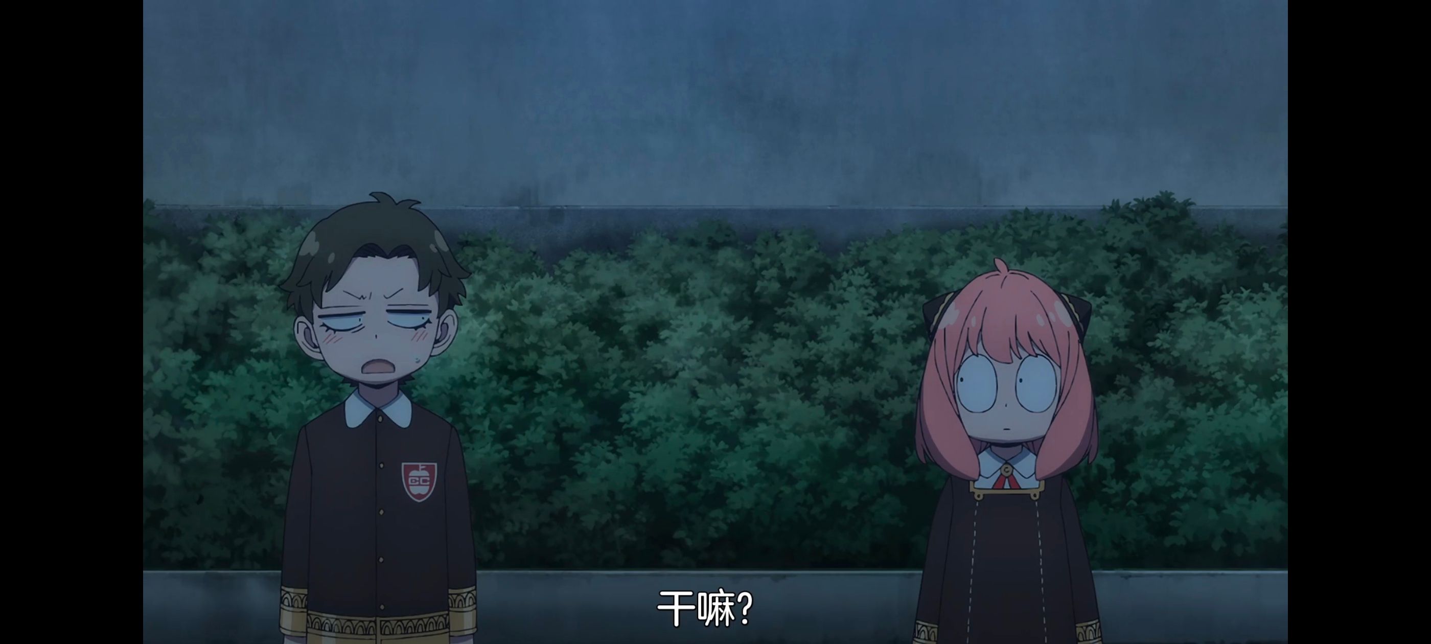 间谍过家家,SPYFAMILY,动画,动漫,番剧,ACG