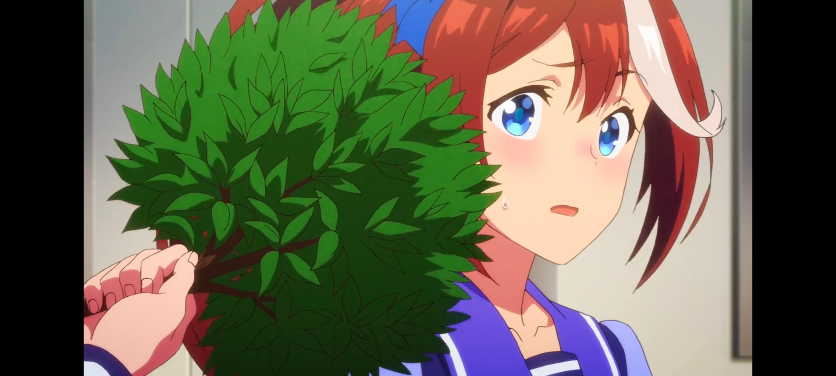 赛马娘,赛马娘PrettyDreby,动画,动漫,AMV,MAD,二次元,ACG