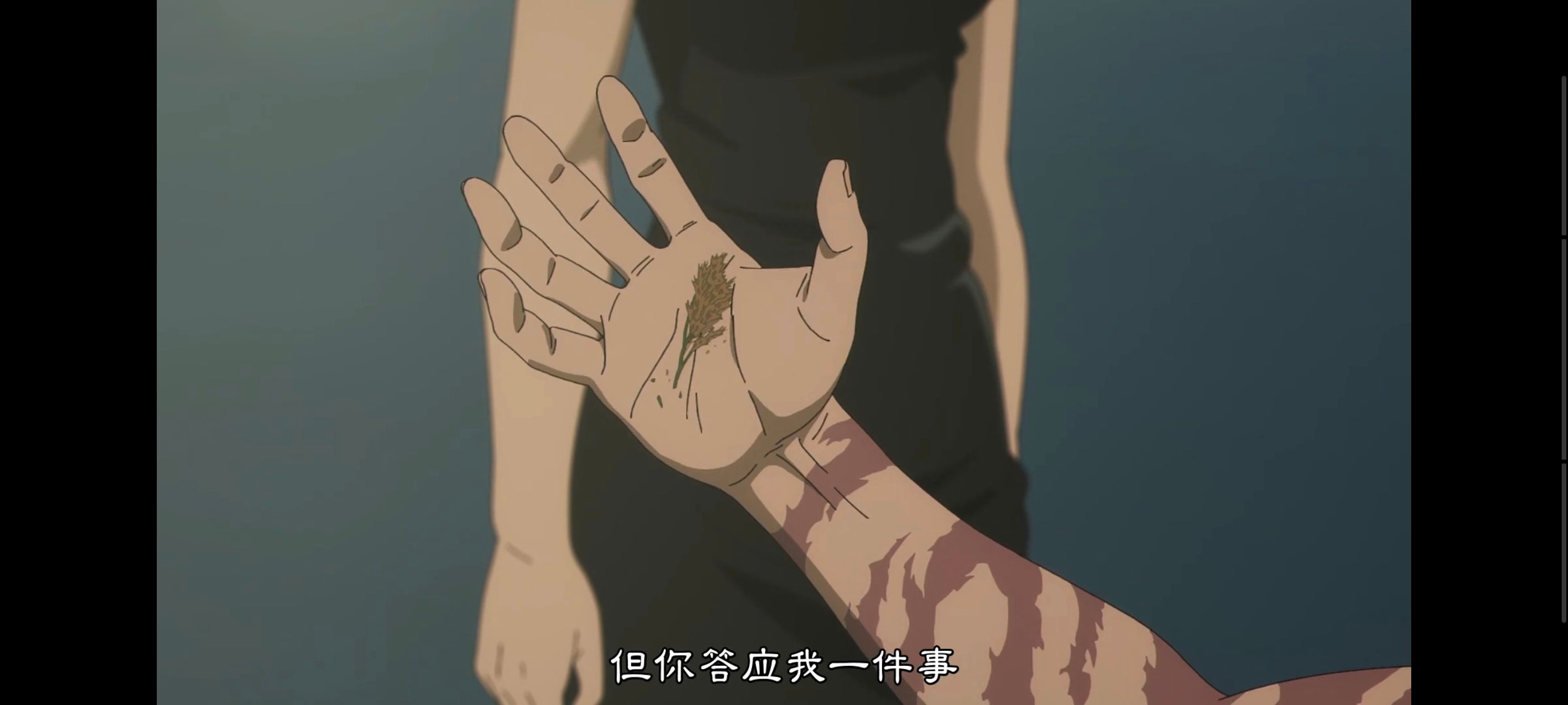 咒术回战,咒术回战死灭回游,动画,动漫,番剧,ACG