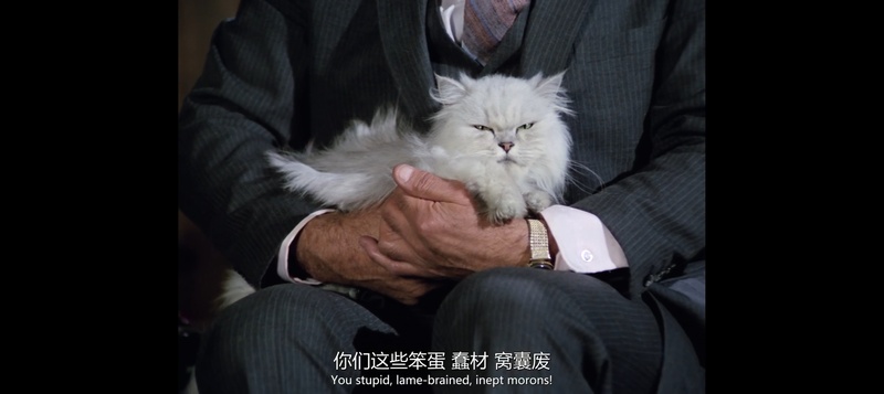 电视剧,文章,观后感,白头神探,Police Squad,in color,特警队,警察小队