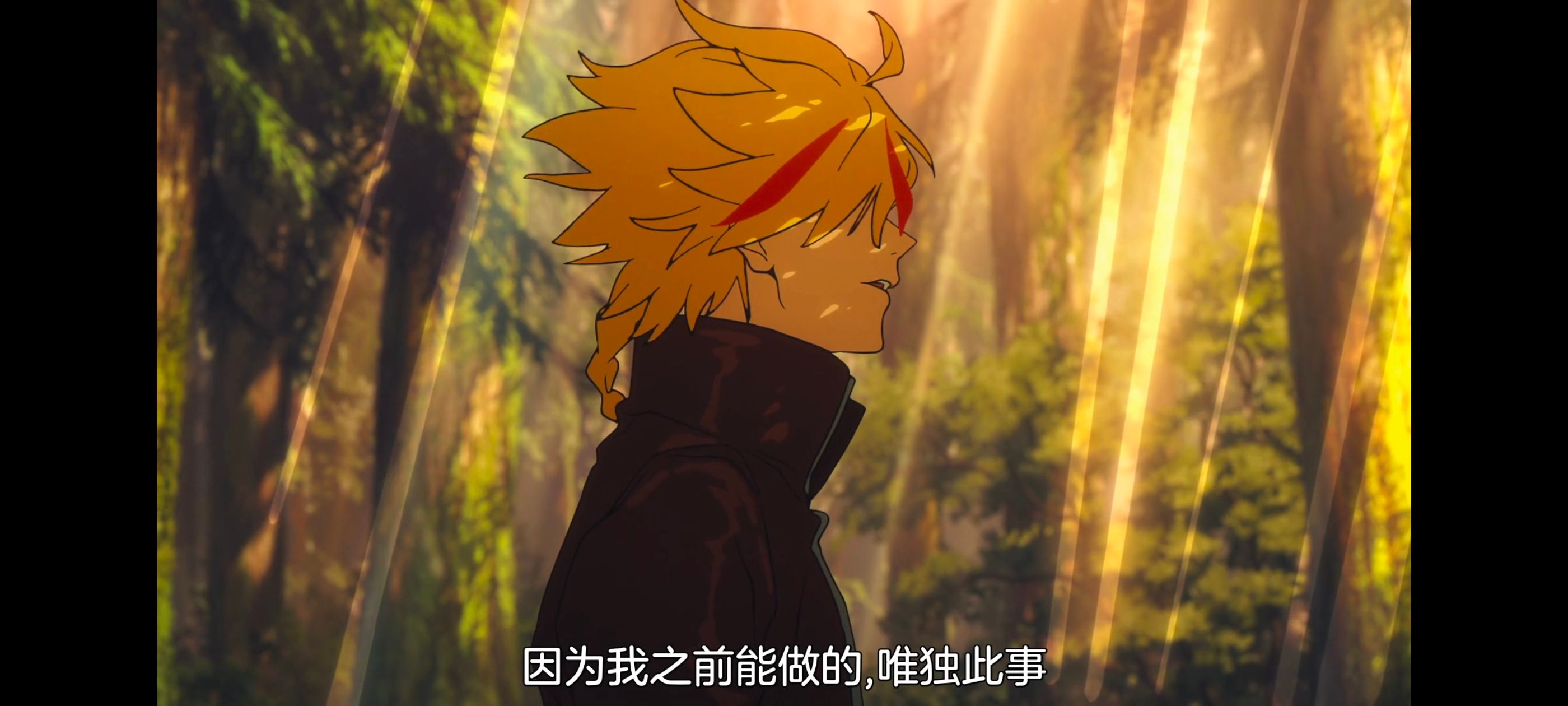 命运奇异赝品,FatestrangeFake,动画,动漫,番剧,ACG