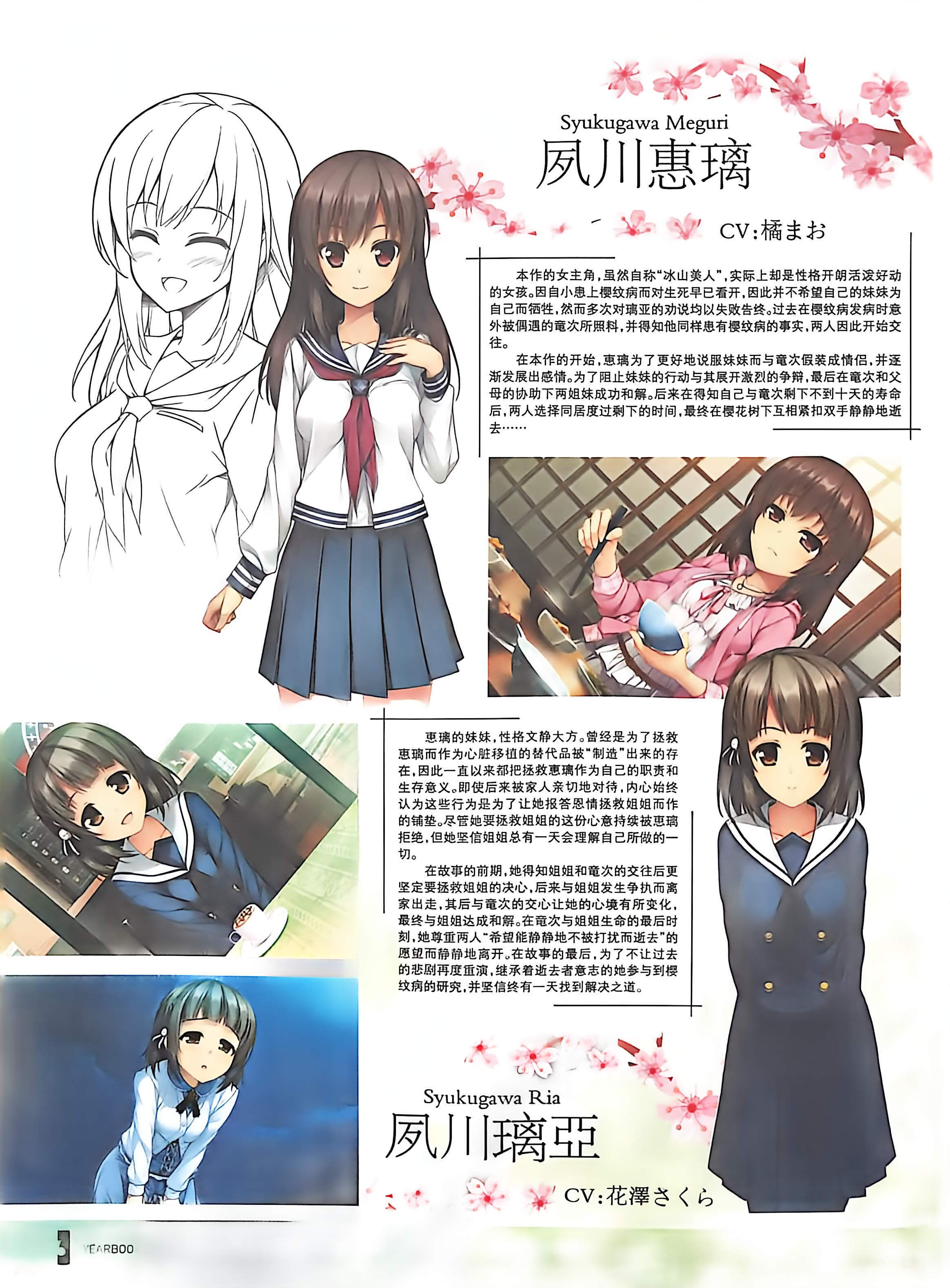 二次元狂热,GALgame,恋爱游戏