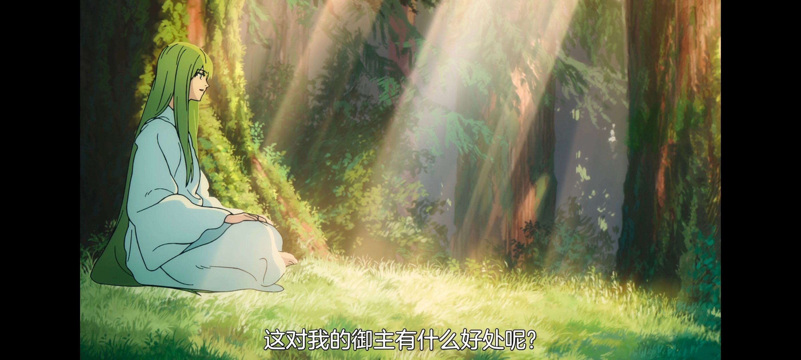 命运奇异赝品,FatestrangeFake,动画,动漫,番剧,ACG