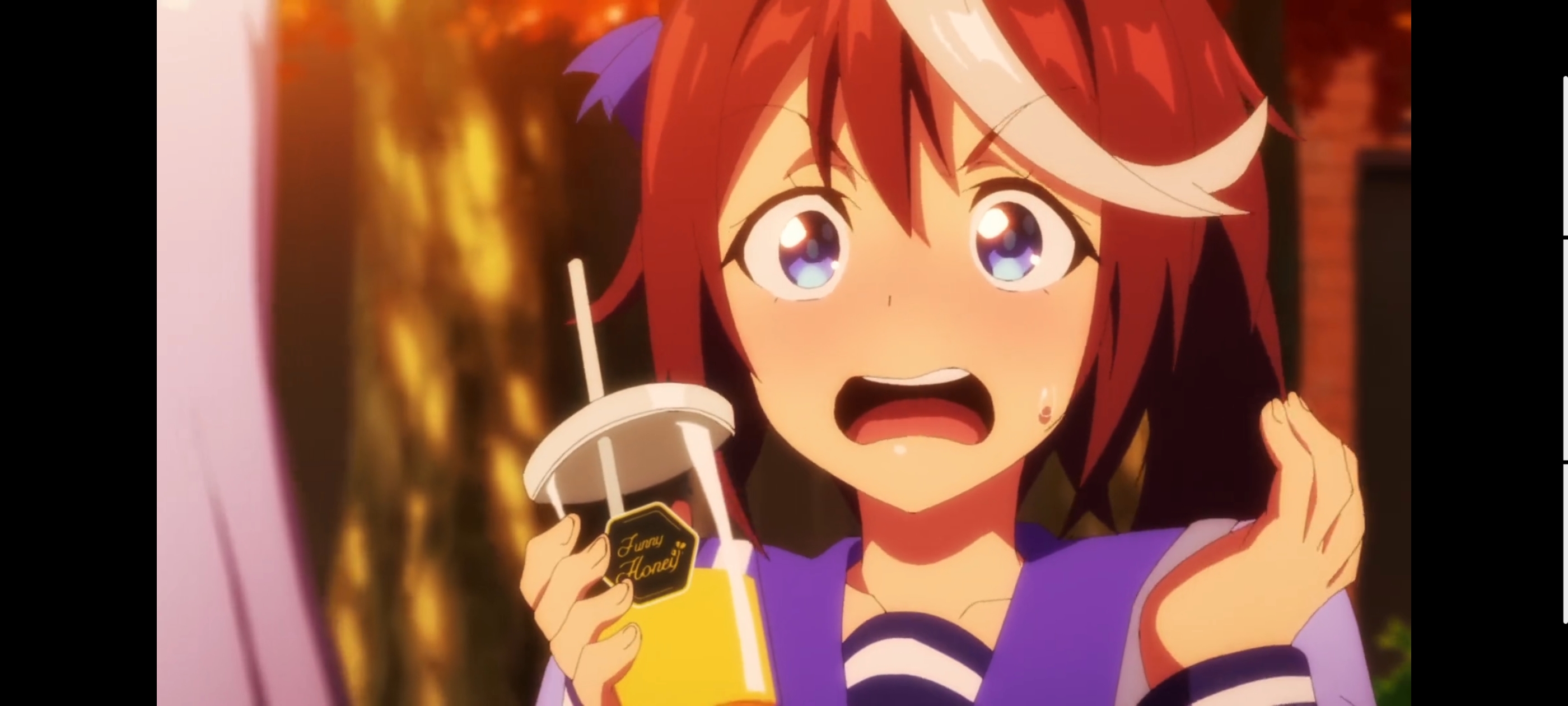 赛马娘,赛马娘第二季,动画,动漫,番剧,二次元,ACG