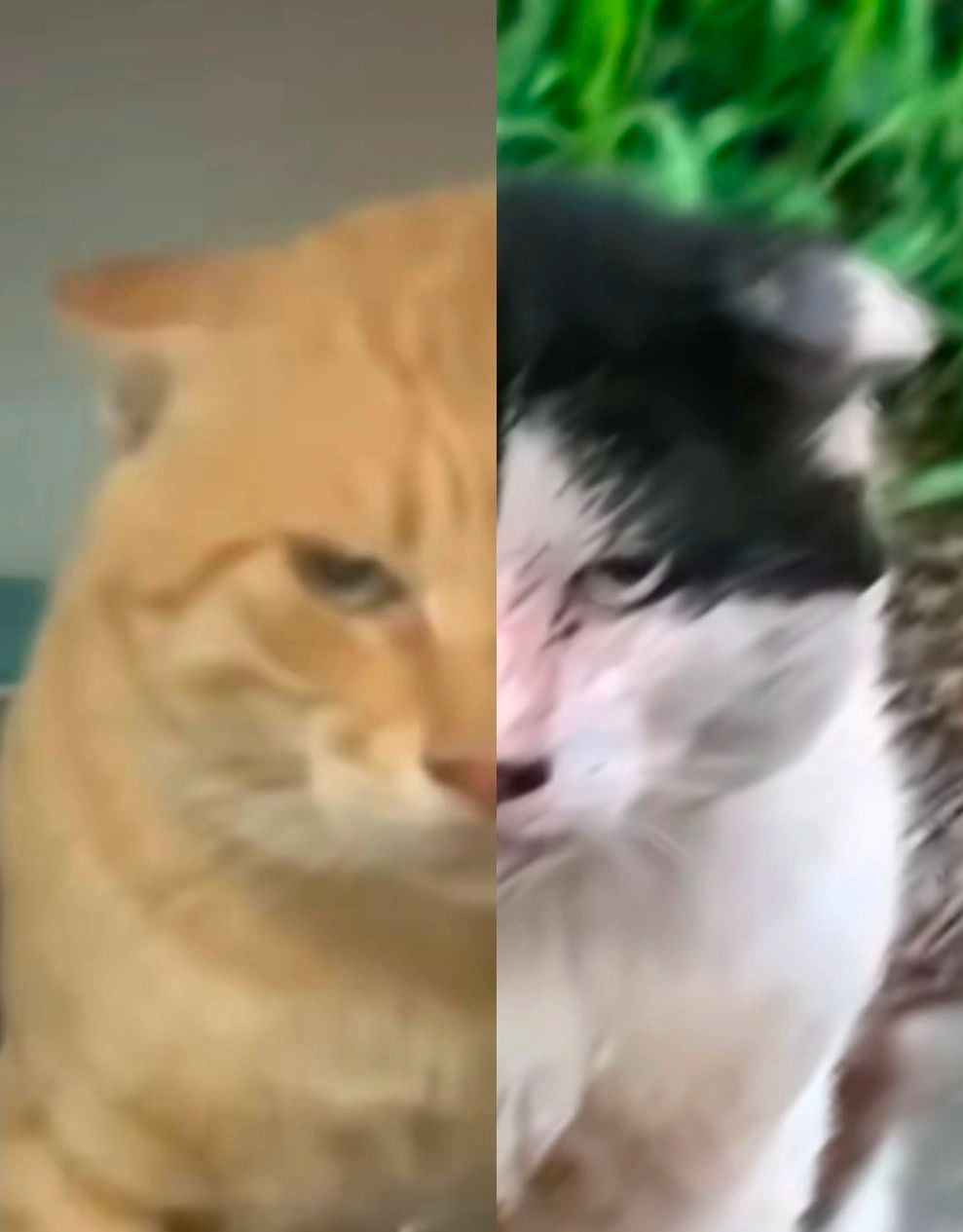 /static/f9323f849f36e9d5e979f05af9f87aa98fd707afd4f18efa27c4b857502ae1d7.jpg