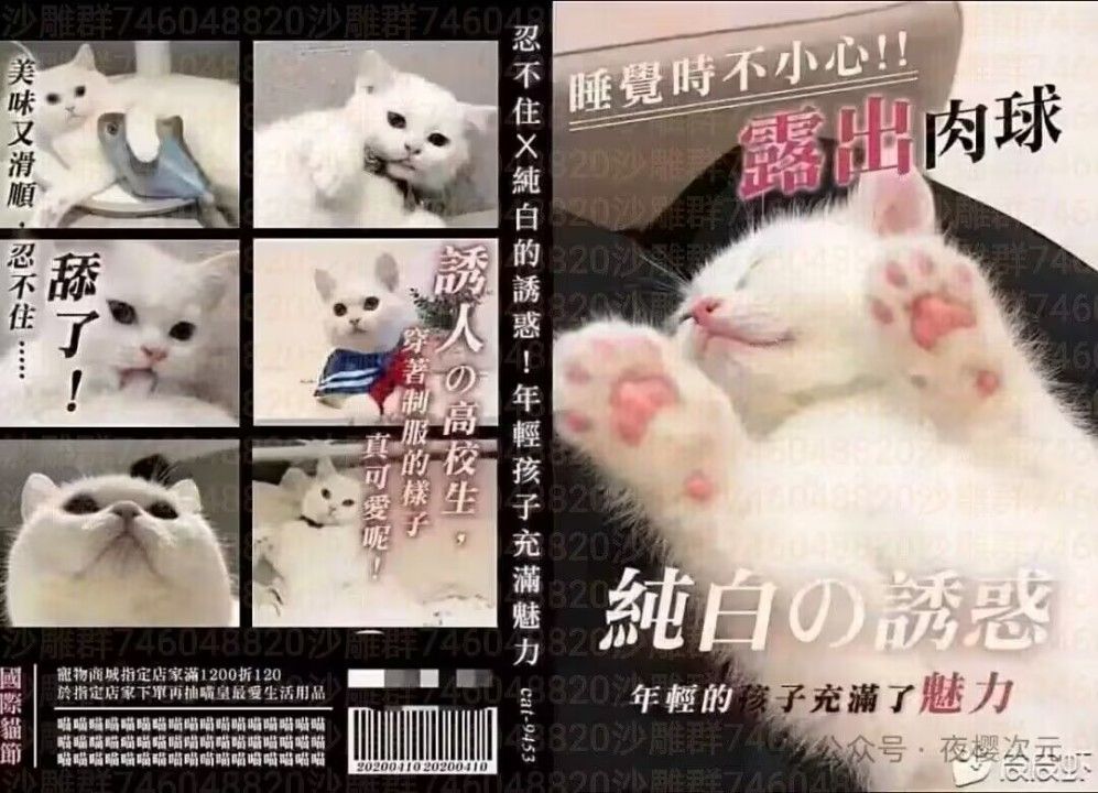 /static/f9389f8ca39f7023156f7a7bf6d25beb2a93111b5046848eed82db1414594dae.jpg