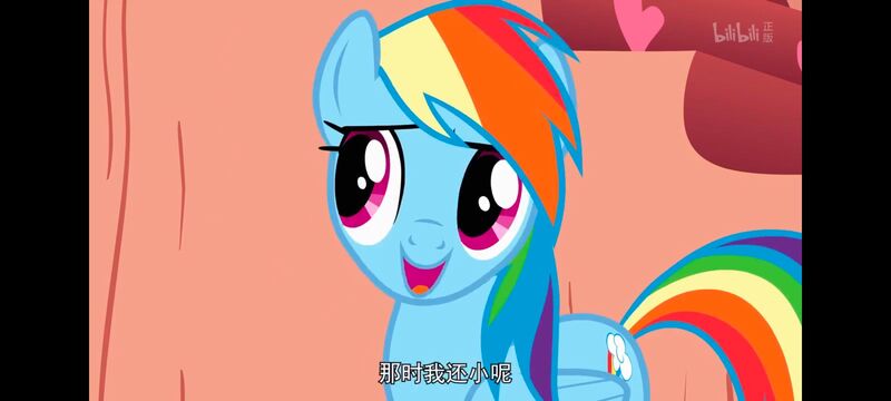 小马宝莉,小马宝莉友谊魔法,彩虹小马,我的小马驹,动画,动漫,番剧,ACG