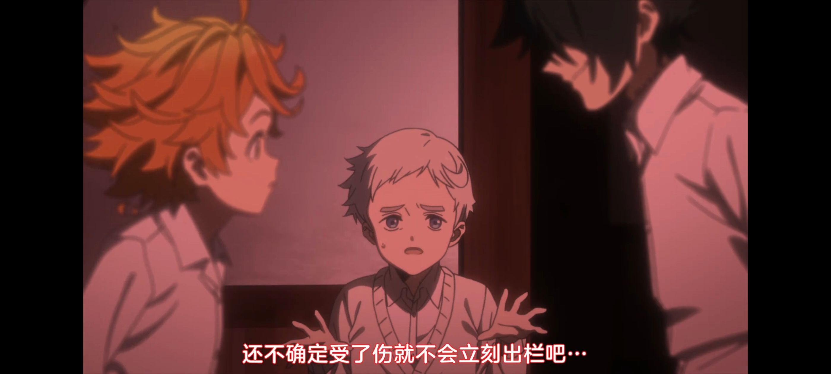 约定的梦幻岛,动画,动漫,番剧,二次元,ACG