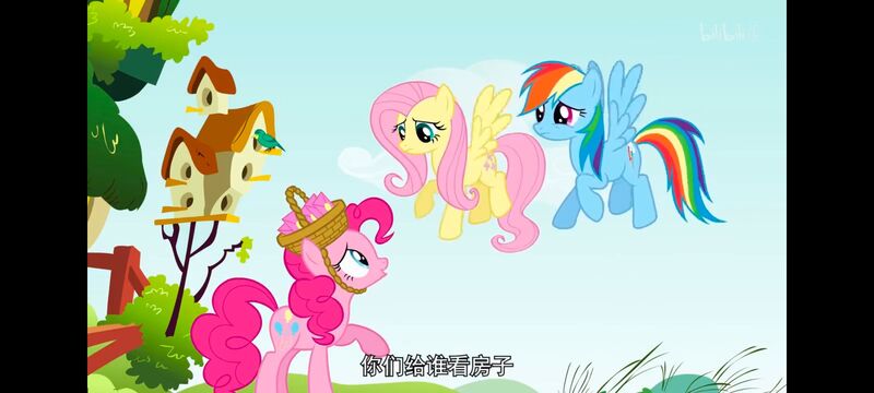 小马宝莉,小马宝莉友谊魔法,彩虹小马,我的小马驹,动画,动漫,番剧,ACG