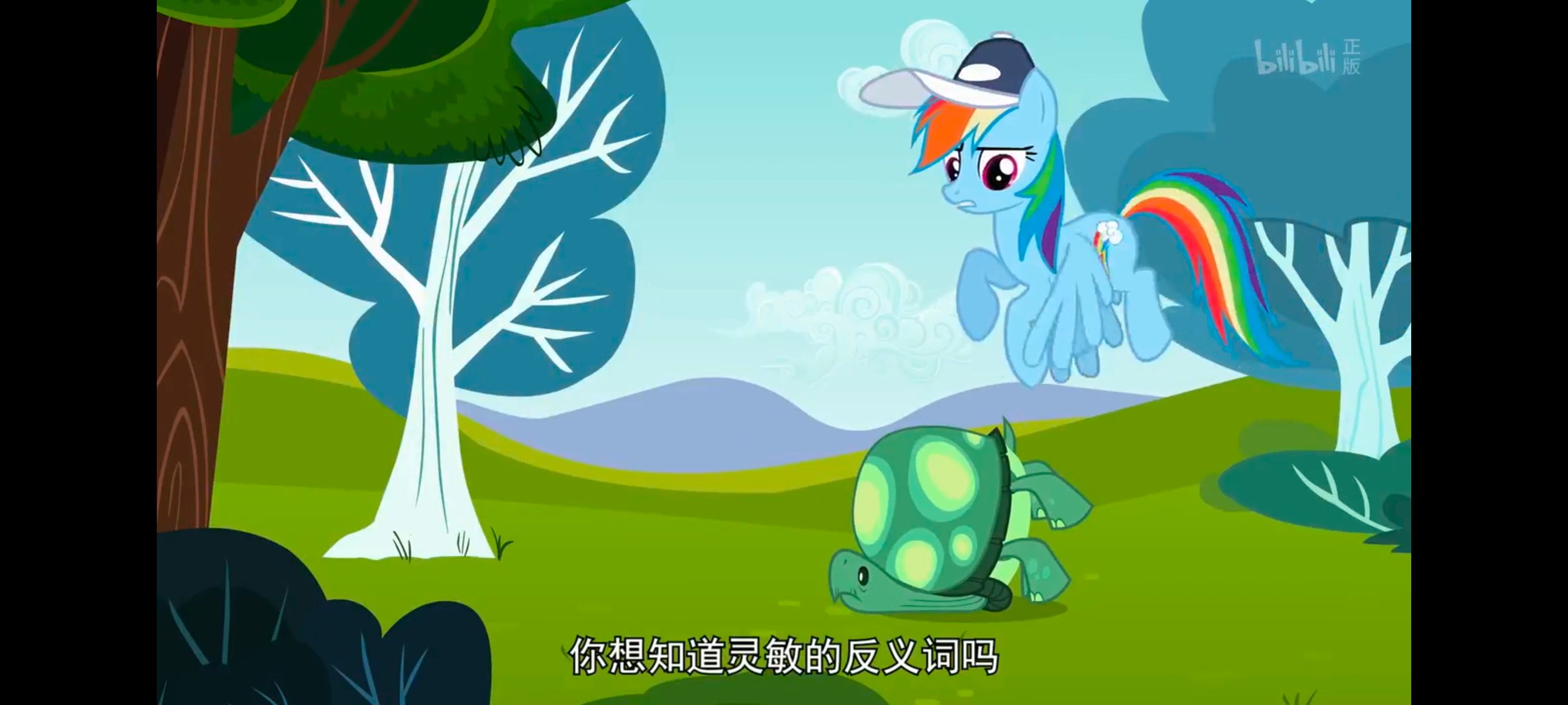 小马宝莉,彩虹小马,我的小马驹,动画,动漫,番剧,二次元,ACG