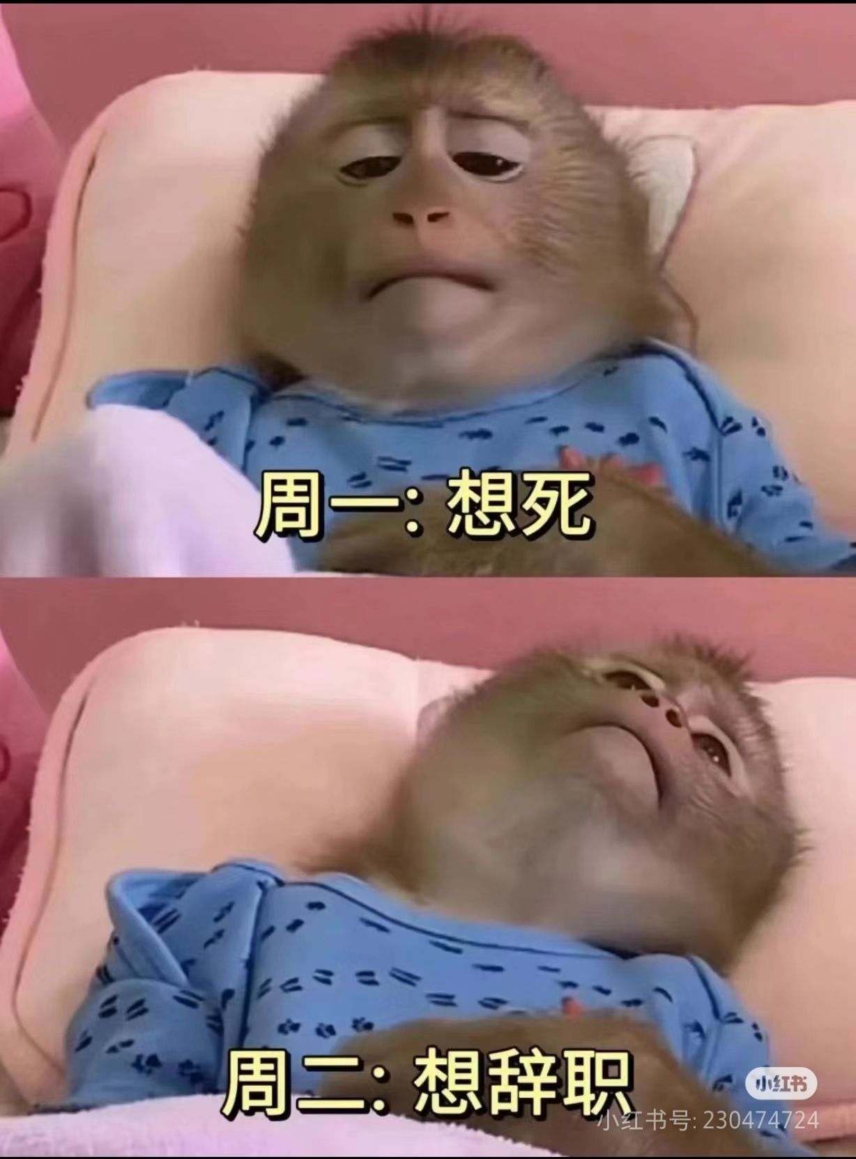 /static/f9e9d5b7815ab918fd3678125843c2247be8370bf0df4c715861c9ec45dba98e.jpg