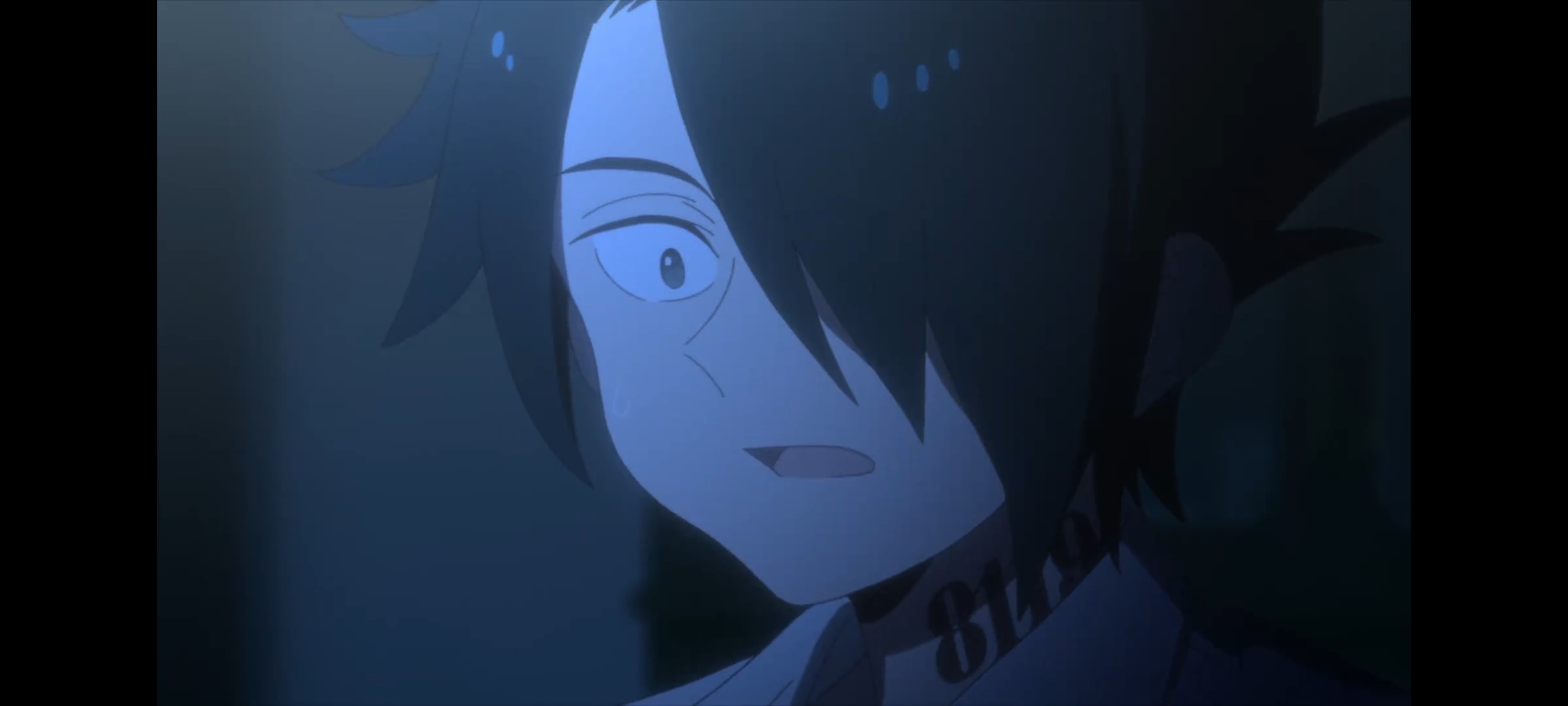 约定的梦幻岛,动画,动漫,番剧,二次元,ACG