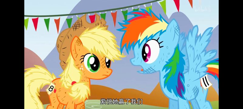 小马宝莉,小马宝莉友谊魔法,彩虹小马,我的小马驹,动画,动漫,番剧,ACG