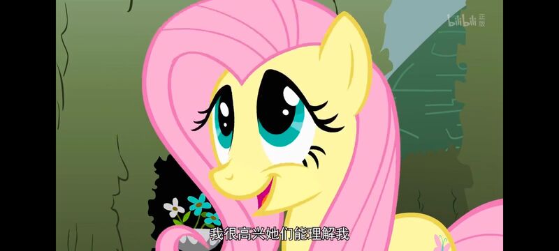 小马宝莉,小马宝莉友谊魔法,彩虹小马,我的小马驹,动画,动漫,番剧,ACG