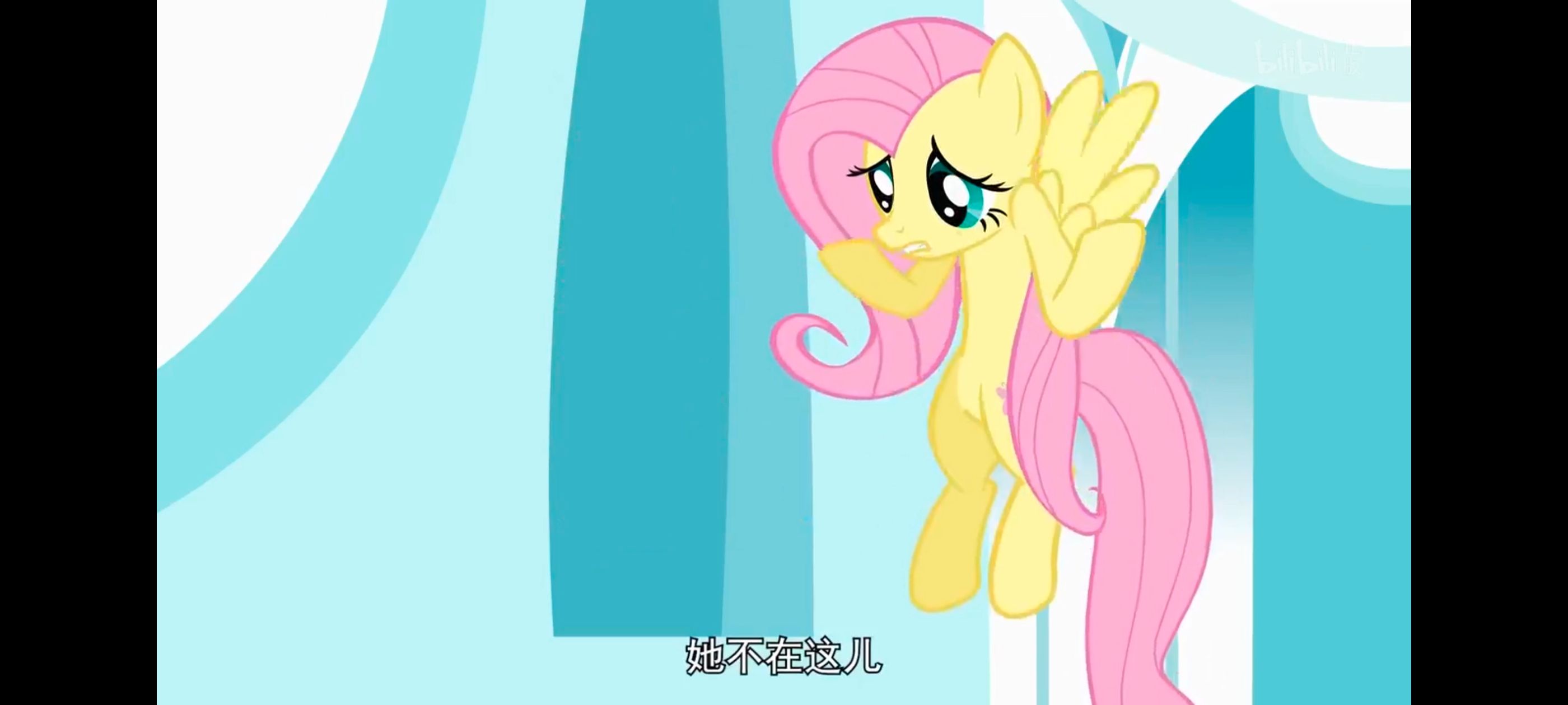 小马宝莉,彩虹小马,我的小马驹,小马宝莉友谊魔法,动漫,动画,番剧,ACG