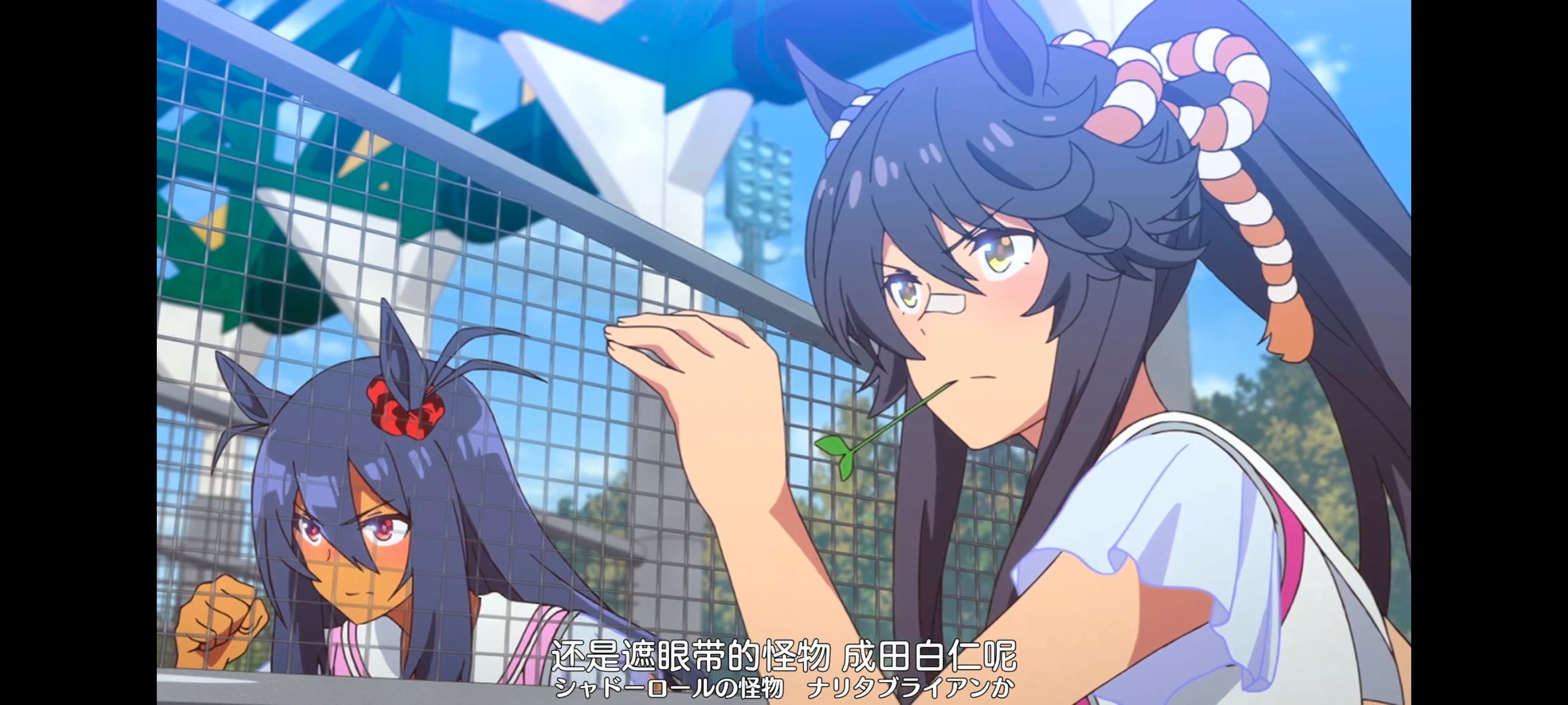 赛马娘,赛马娘PrettyDreby,动画,动漫,番剧,ACG