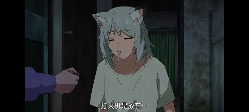 尼古喵喵,雅尼猫,动画,动漫,番剧,日漫,二次元,ACG