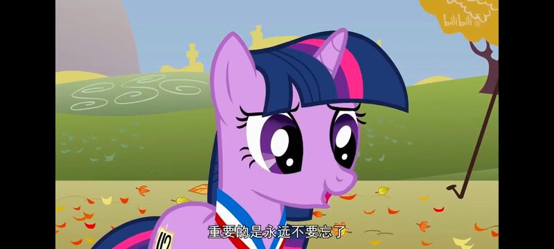 小马宝莉,小马宝莉友谊魔法,彩虹小马,我的小马驹,动画,动漫,番剧,ACG