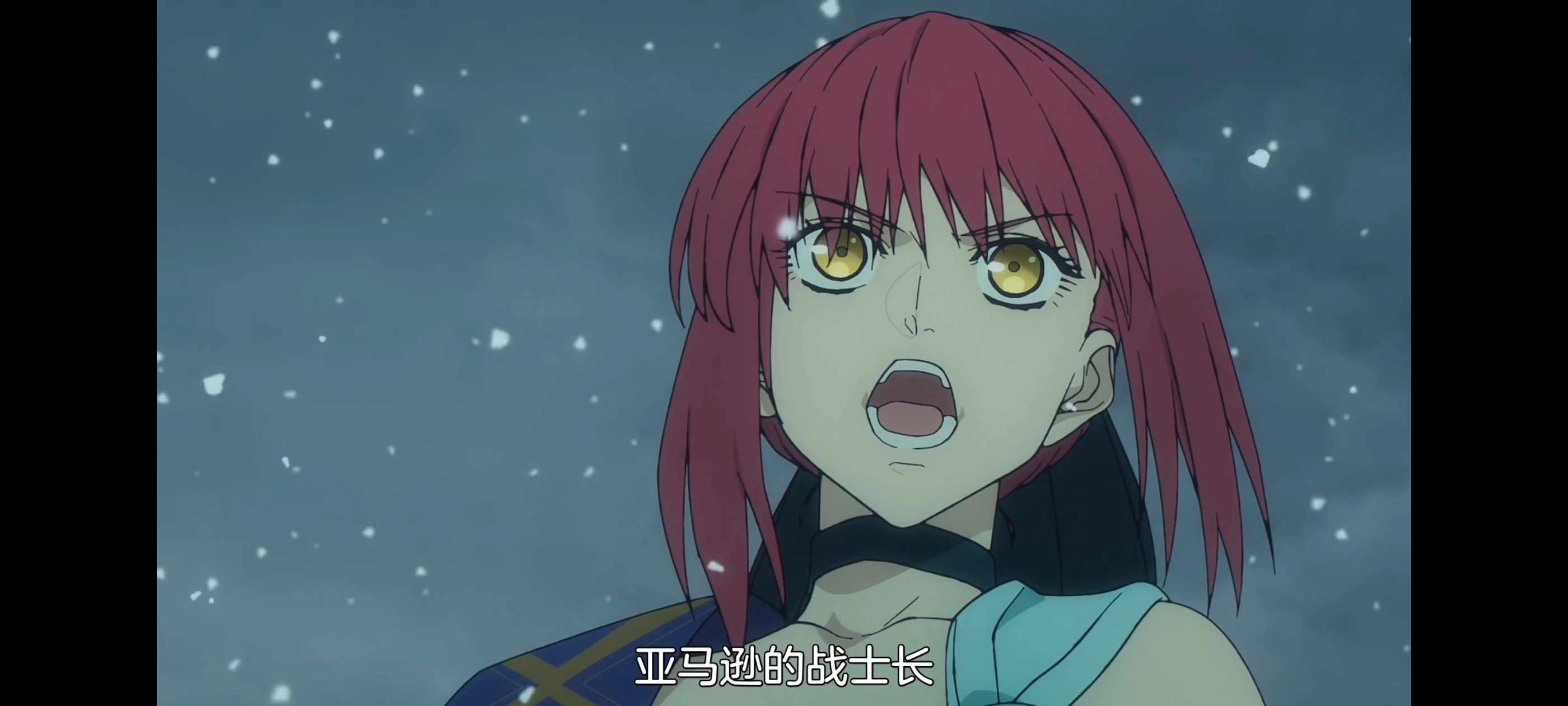 命运奇异赝品,FatestrangeFake,动画,动漫,番剧,ACG