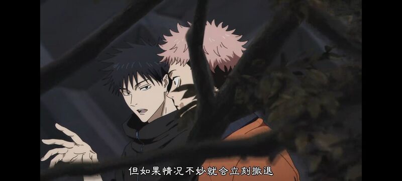 咒术回战,咒术回战死灭回游,动画,动漫,番剧,ACG