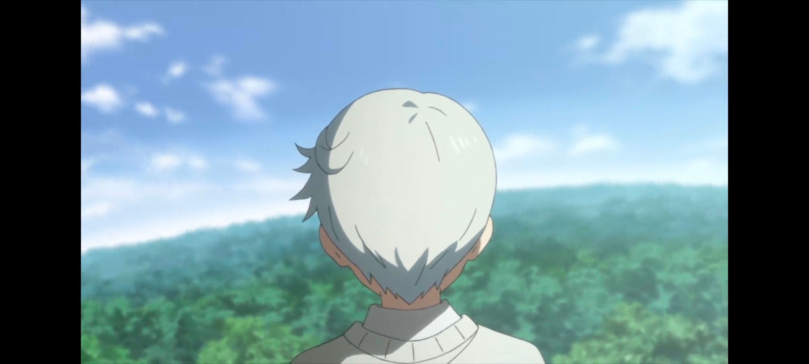 约定的梦幻岛,动画,动漫,番剧,二次元,ACG