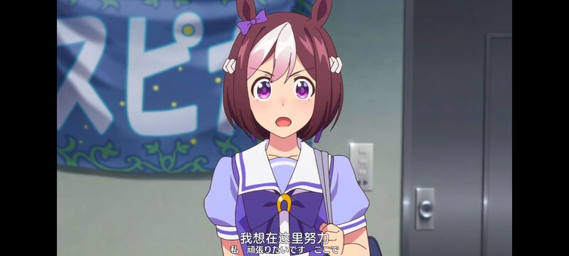 赛马娘,赛马娘PrettyDreby,动画,动漫,番剧,ACG