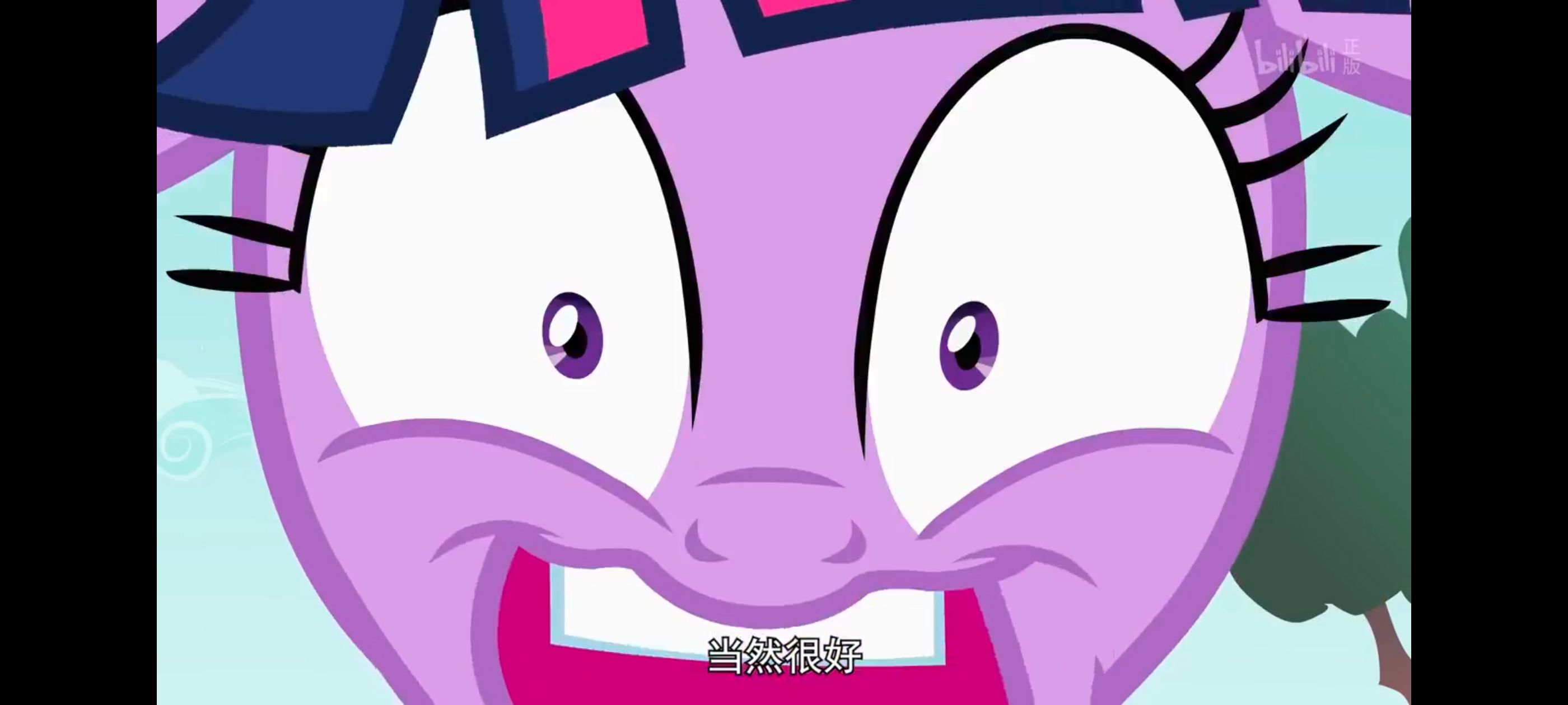 小马宝莉,小马宝莉友谊魔法,彩虹小马,我的小马驹,动画,动漫,番剧,ACG