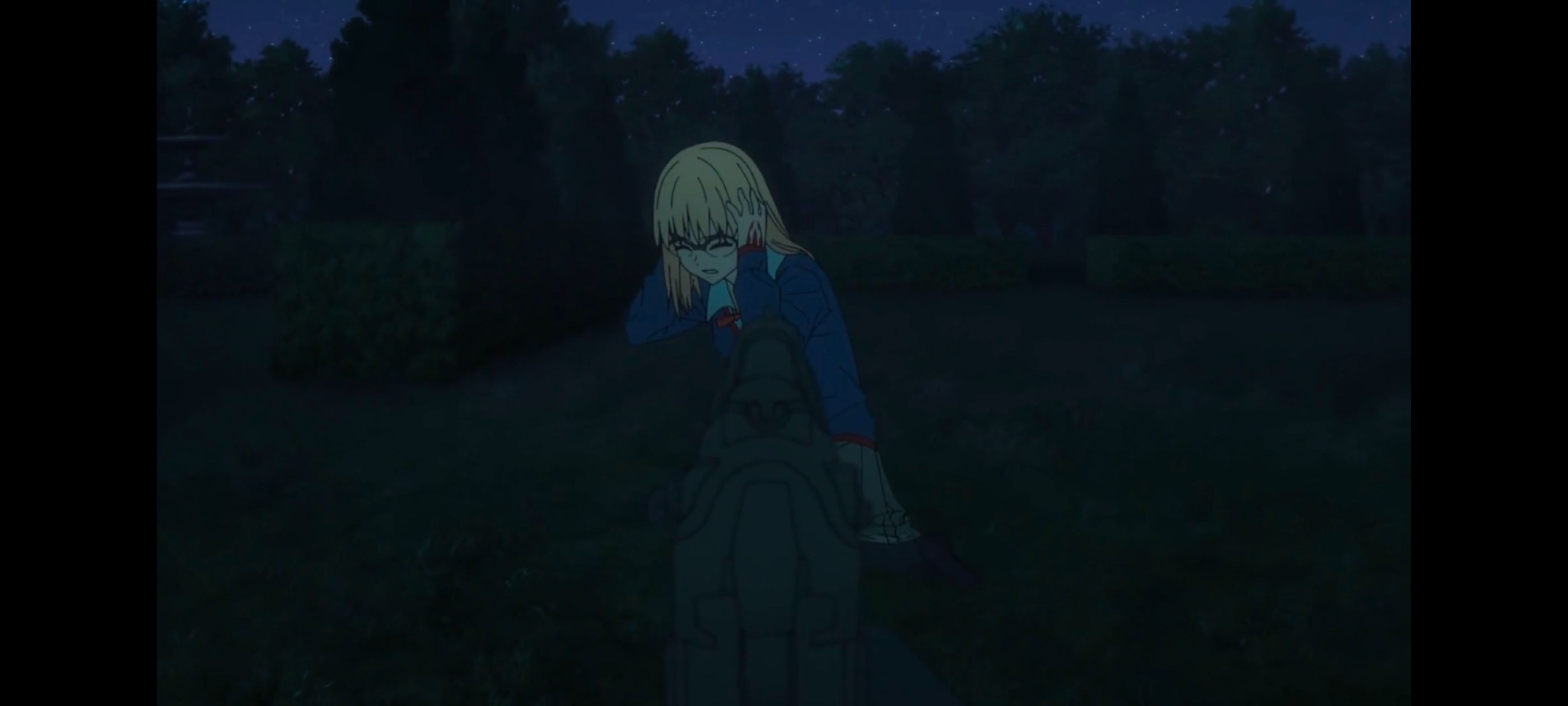 命运奇异赝品,FatestrangeFake,动画,动漫,番剧,ACG