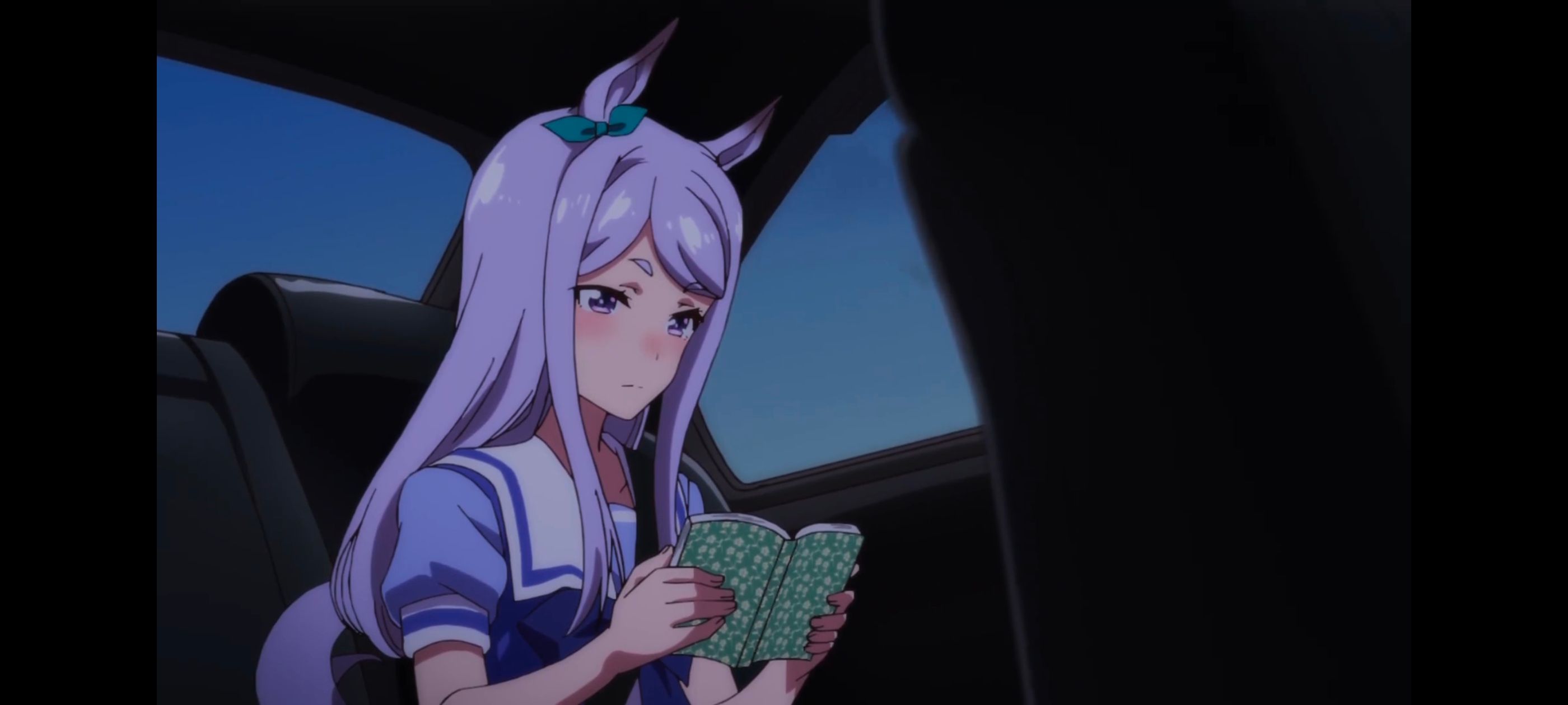 赛马娘,赛马娘PrettyDreby,赛马娘第二季,动画,动漫,番剧,二次元,ACG