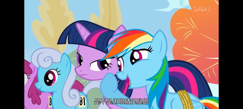小马宝莉,小马宝莉友谊魔法,彩虹小马,我的小马驹,动画,动漫,番剧,ACG