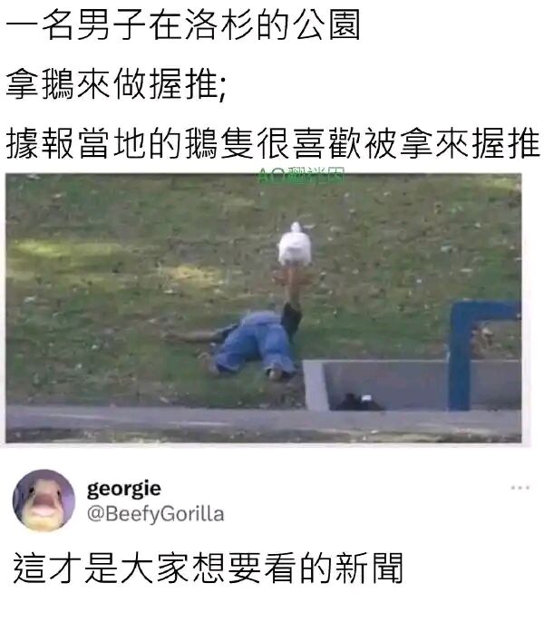 /static/fb7f3da2757fa6d86cf72bc39d06798b7af8ea043c1b014c1346e689c58376d2.jpg