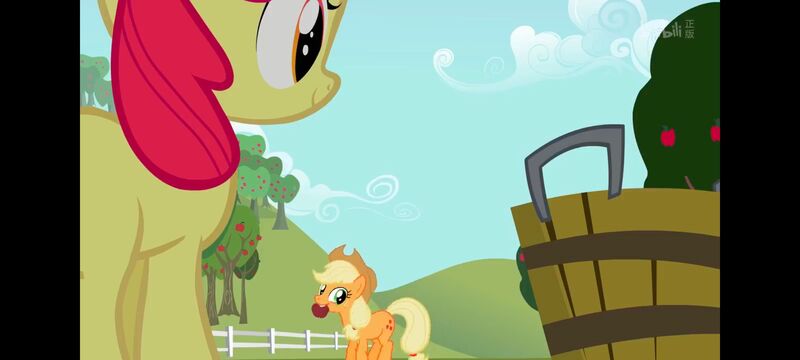 小马宝莉,小马宝莉友谊魔法,彩虹小马,我的小马驹,动画,动漫,番剧,ACG