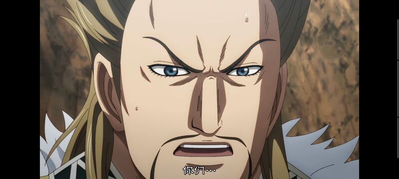 王者天下,动画,动漫,番剧,ACG