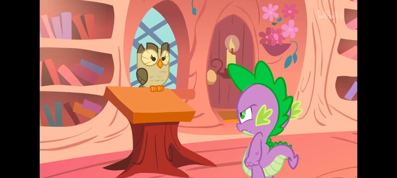 小马宝莉,彩虹小马,我的小马驹,动画,动漫,番剧,ACG,小马宝莉友谊魔法