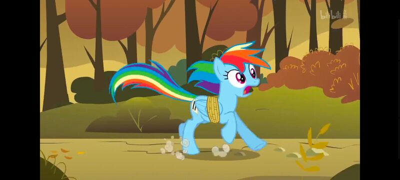 小马宝莉,小马宝莉友谊魔法,彩虹小马,我的小马驹,动画,动漫,番剧,ACG