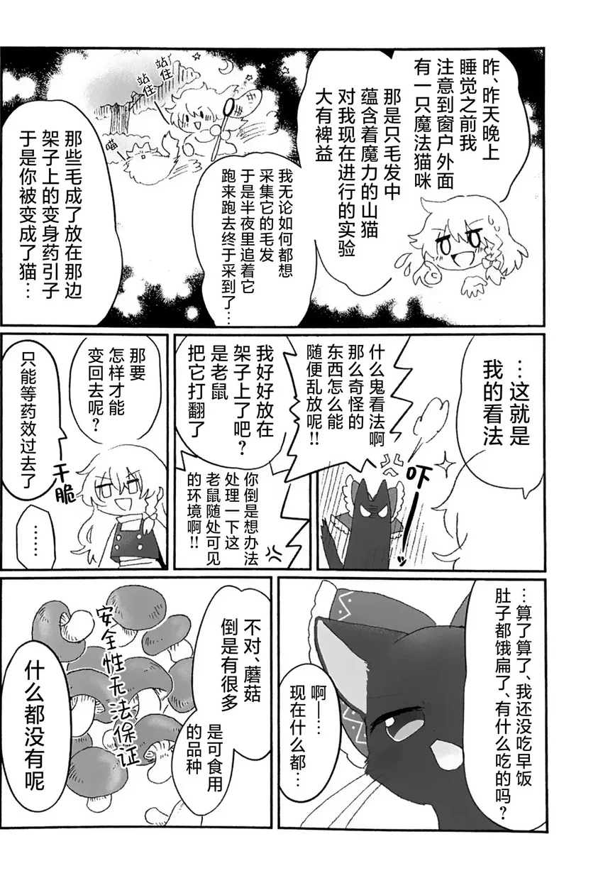 东方project,博丽灵梦,雾雨魔理沙