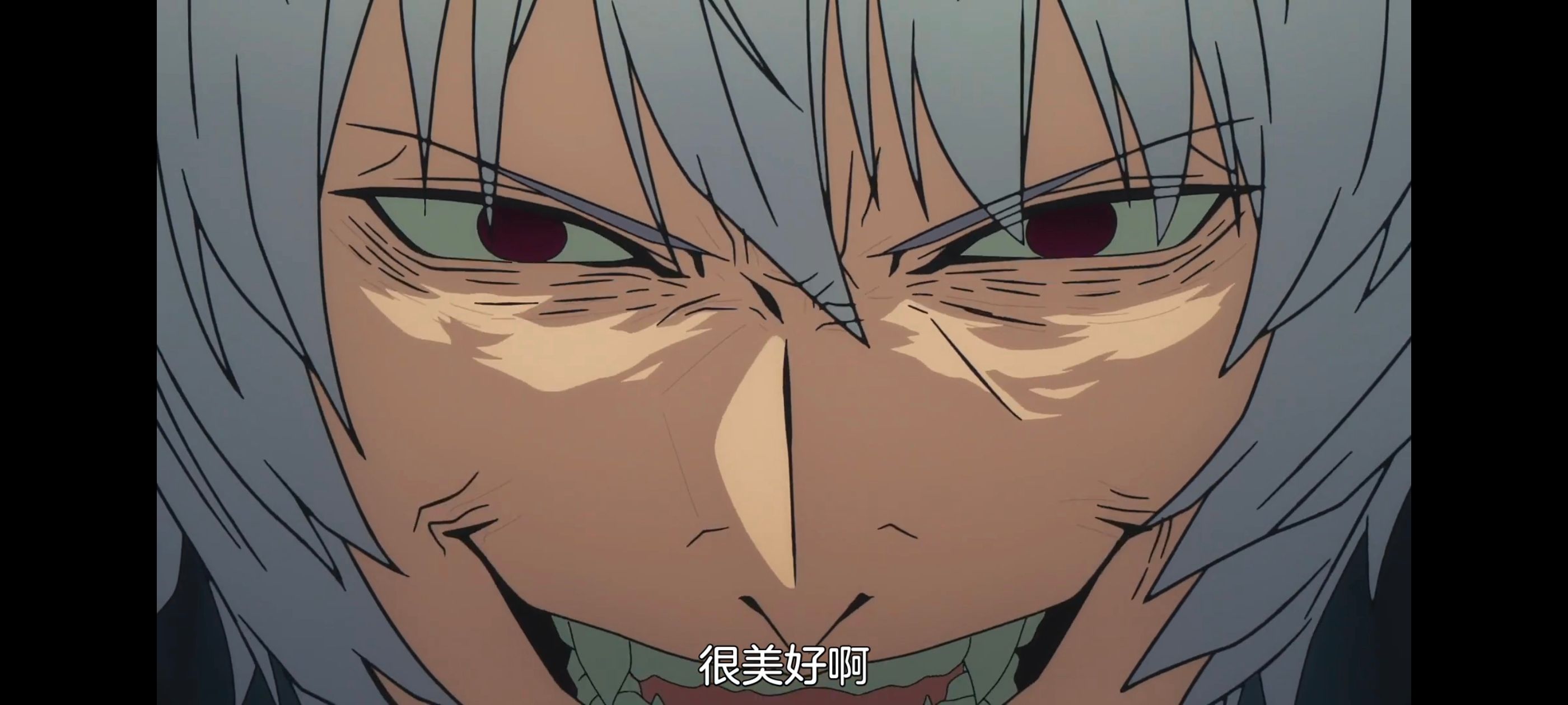 命运奇异赝品,FatestrangeFake,动画,动漫,番剧,ACG