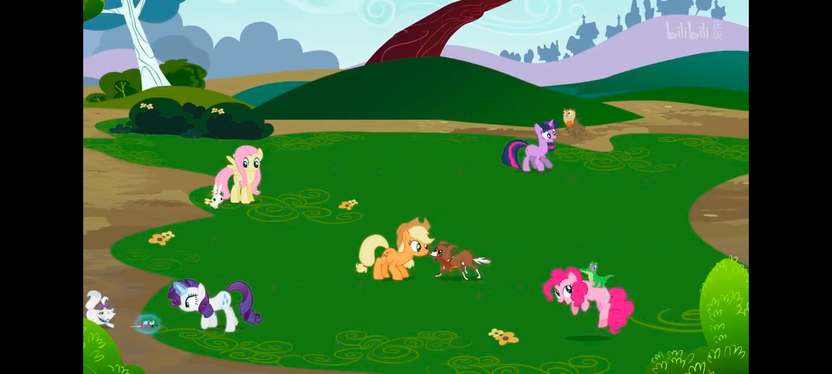 小马宝莉,彩虹小马,我的小马驹,动画,动漫,番剧,二次元,ACG