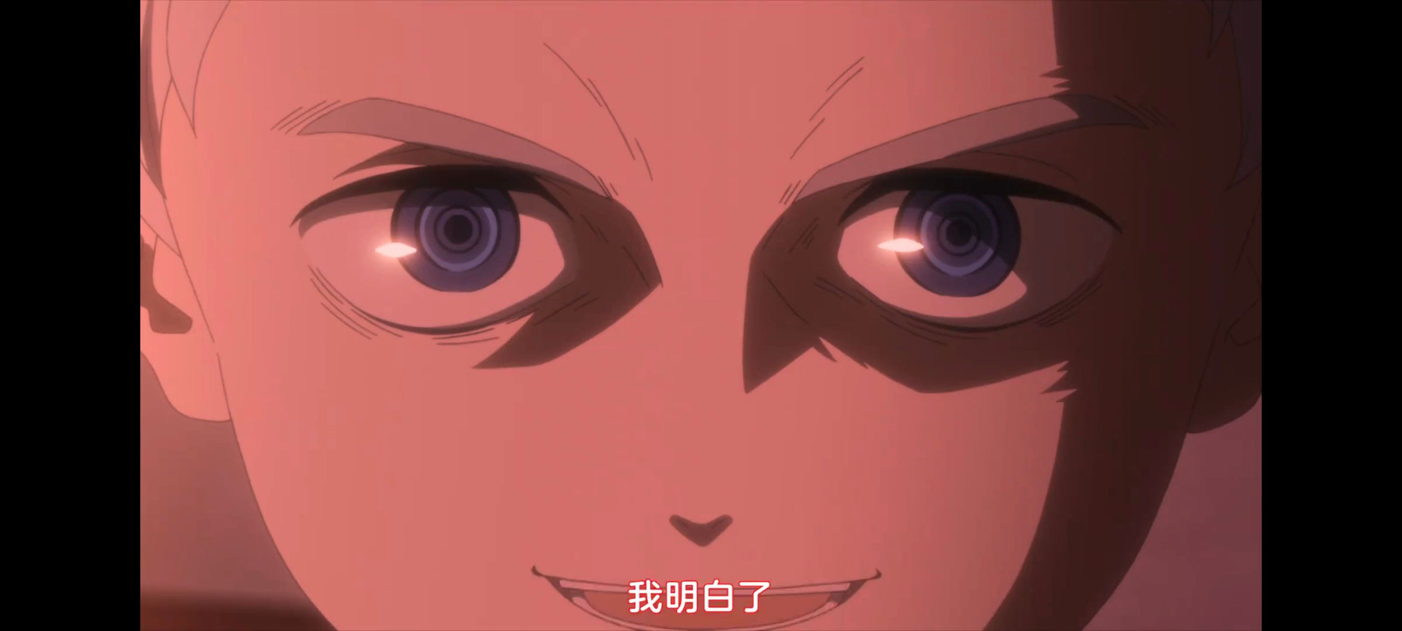 约定的梦幻岛,动画,动漫,番剧,二次元,ACG