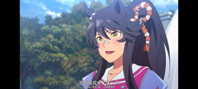 赛马娘,赛马娘PrettyDreby,动画,动漫,番剧,ACG